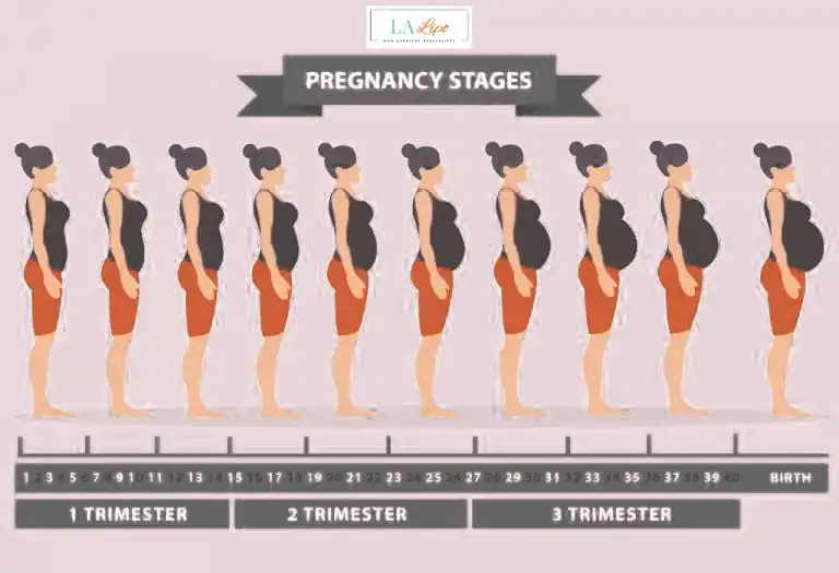 First Trimester (Weeks 1–12): Early Changes You Might Not Notice Bicester